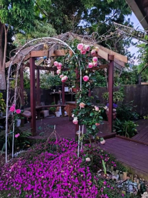Love House, Auckland
